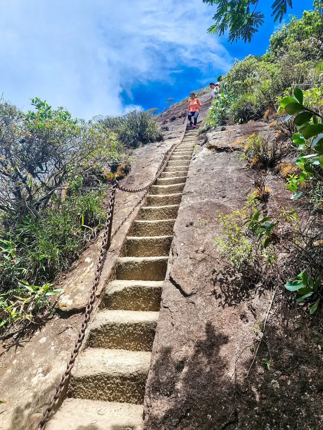 Pico da Tijuca, Rio De Janeiro